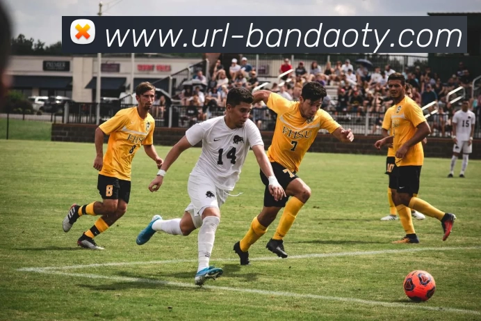 多媒体互动体验