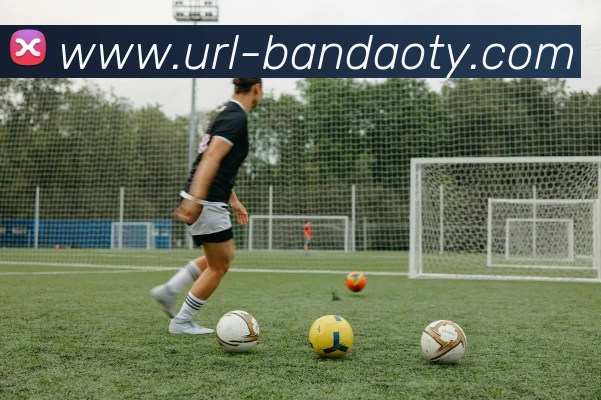 半岛体育APP 高清赛事图